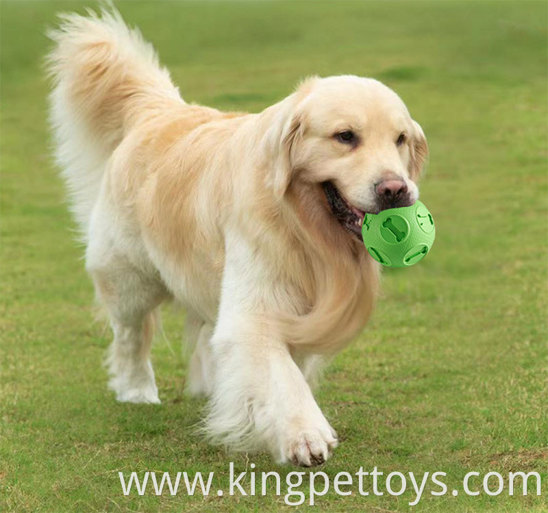 Pet Ball Interactive Dog Toy Ball